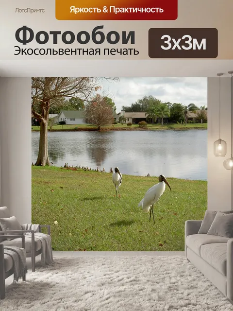 Фотообои Цапля