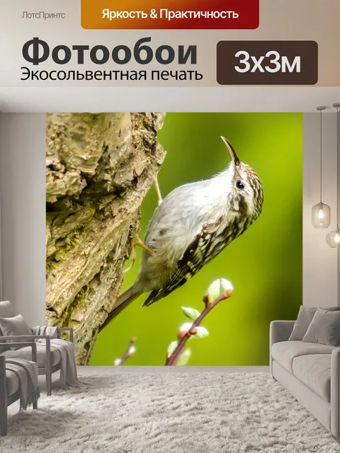 Фотообои Сад дерево бегун