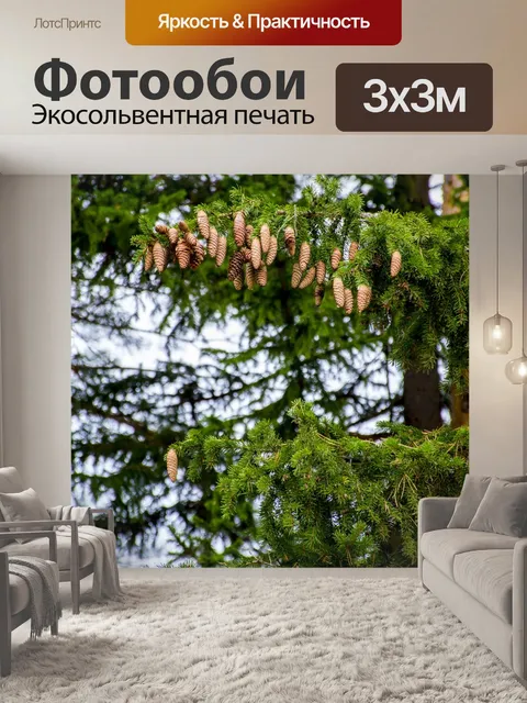 Фотообои Ель