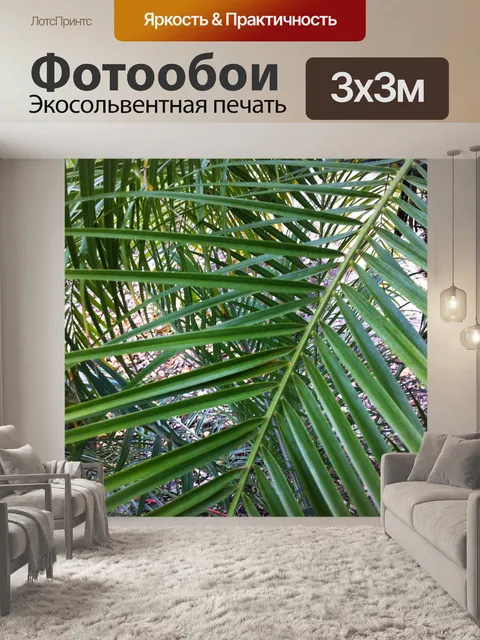 Фотообои пальмовые листья
