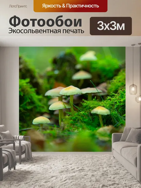 Фотообои гриб
