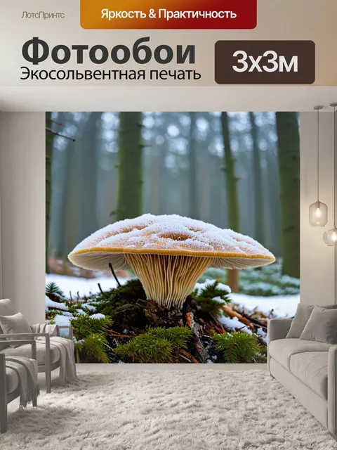 Фотообои грибы плесневые в зимнем лесу, покрытые снегом, с морозным воздухом и туманом