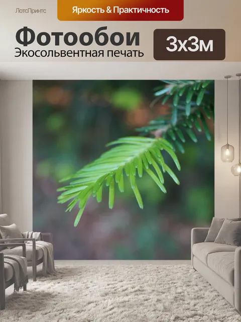 Фотообои Ель
