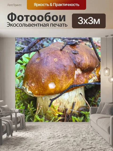 Фотообои Гриб