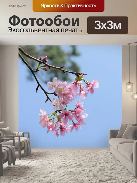 Фотообои Цветок