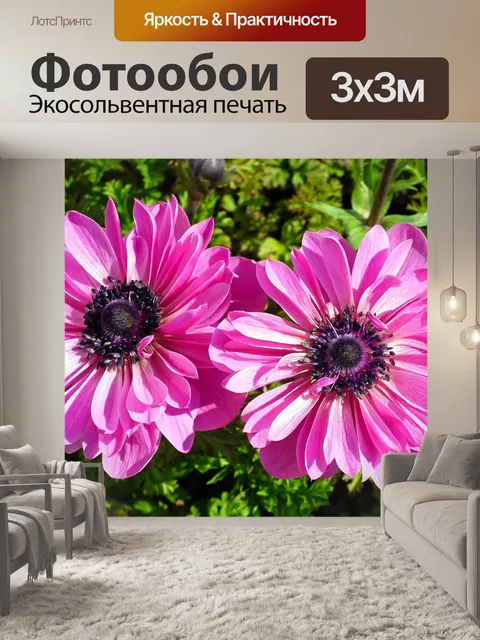 Фотообои Анемоны