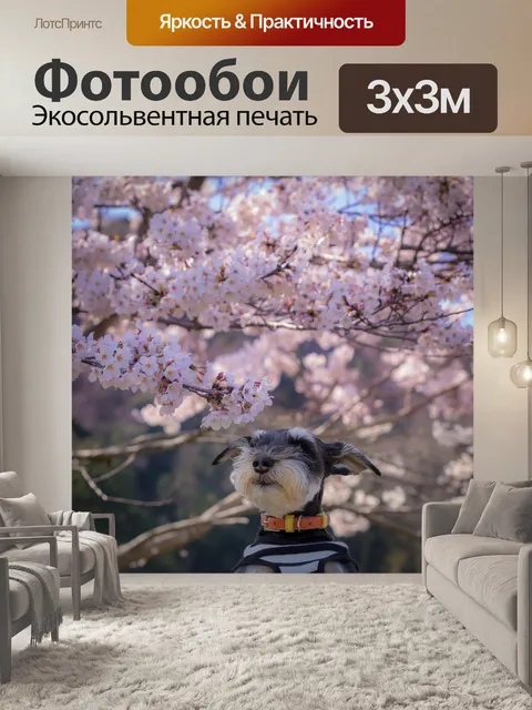 Фотообои Собака