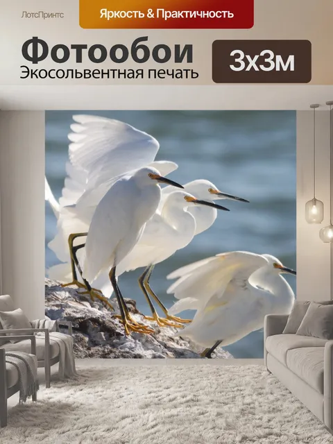 Фотообои Снежные цапли