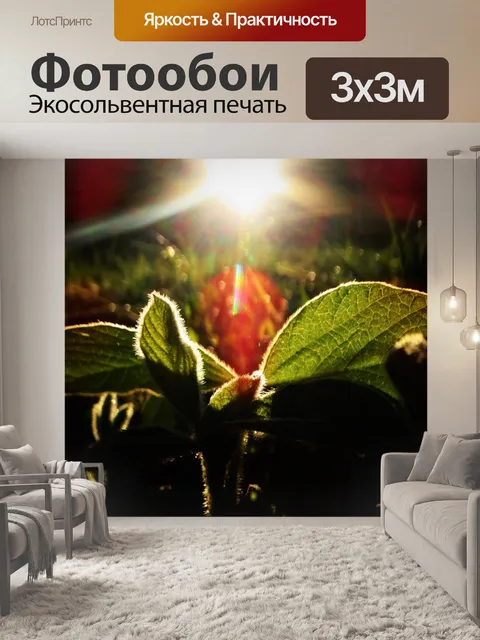 Фотообои Листья