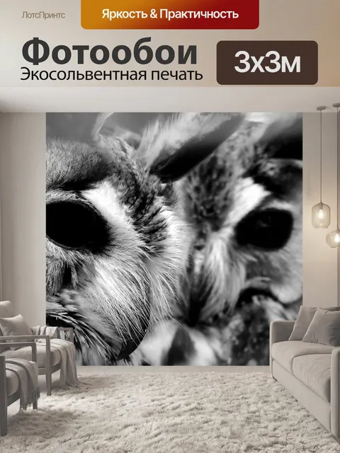 Фотообои Сова