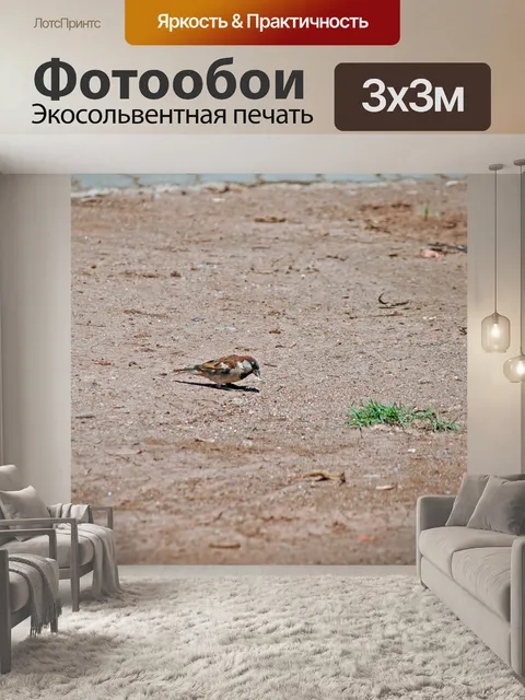 Фотообои Клюквенный воробей