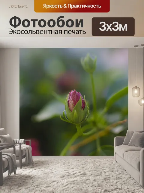 Фотообои Цветы
