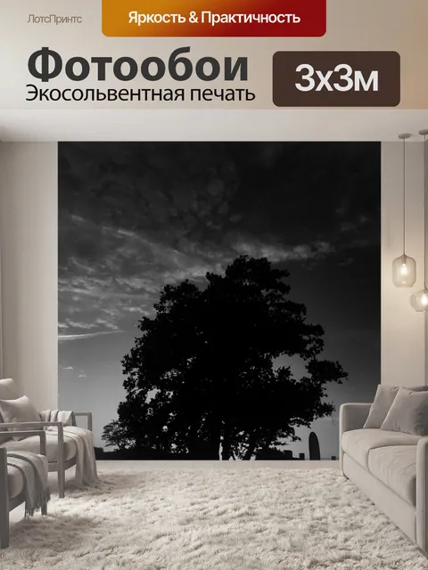 Фотообои Темный