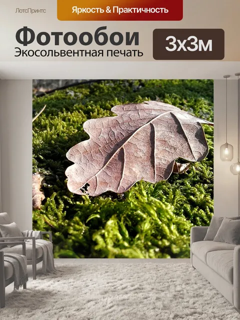 Фотообои Дубовый лист