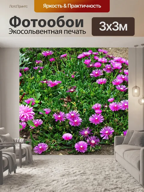 Фотообои Цветы