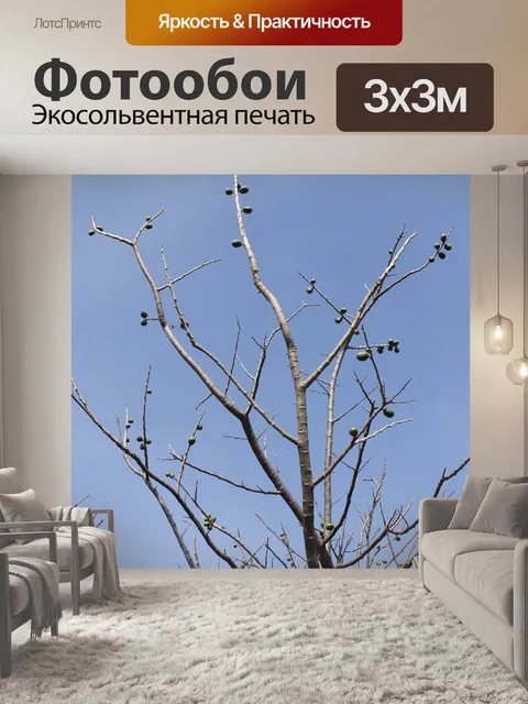 Фотообои Дерево