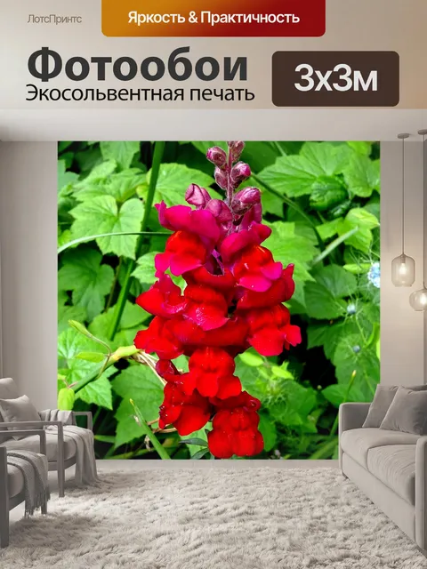 Фотообои Красный цветущий завод