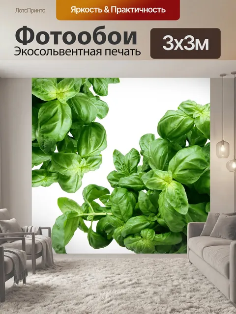 Фотообои Бэзил