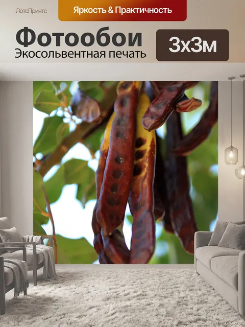 Фотообои рожковое дерево