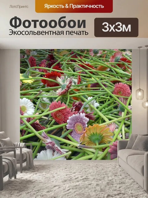 Фотообои Гербера