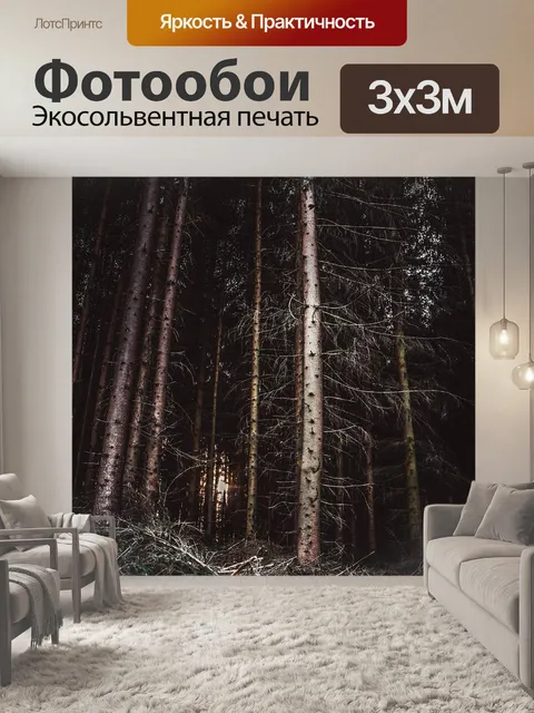Фотообои Лес