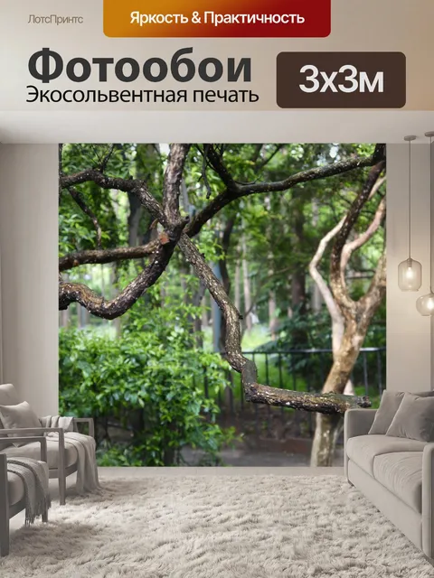 Фотообои Деревья