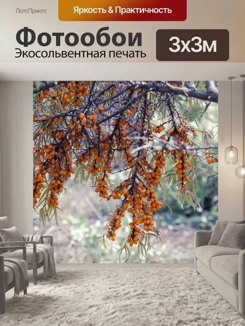 Фотообои Облепиха крушиновидная