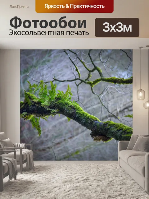 Фотообои Филиал дерева с листьем папоротника