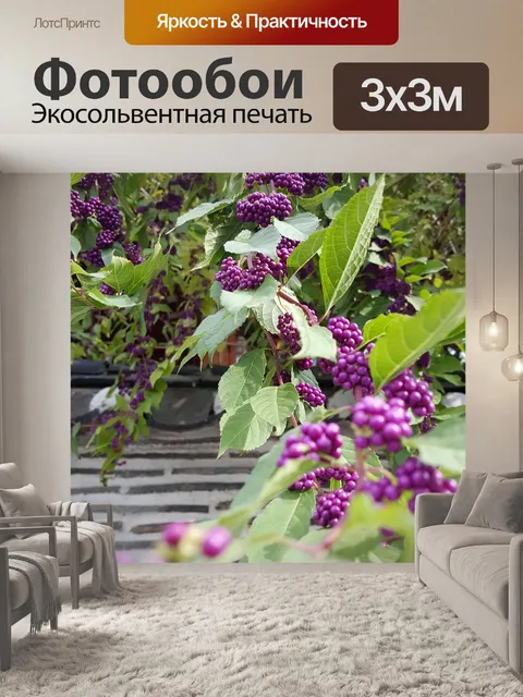 Фотообои Цветы