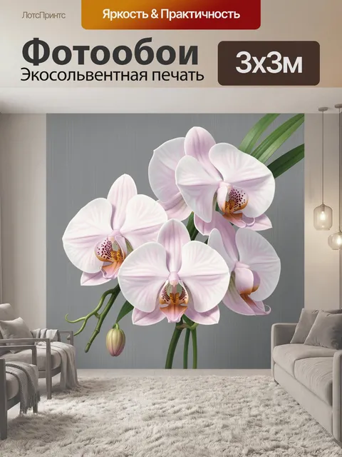 Фотообои Нежные орхидеи на сером фоне