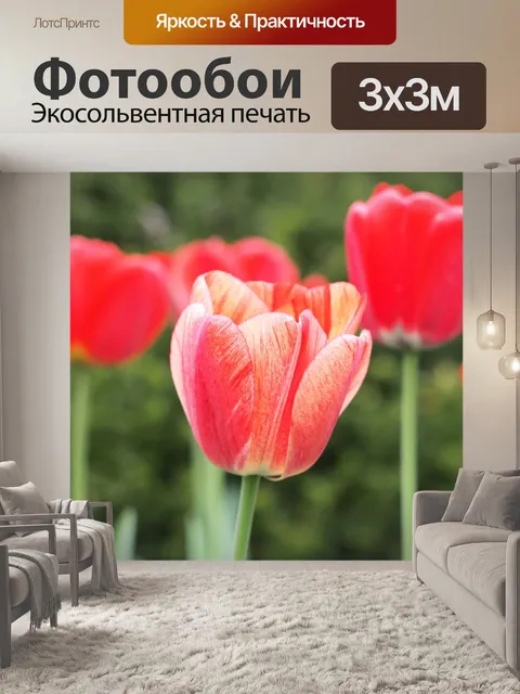 Фотообои Тюльпаны