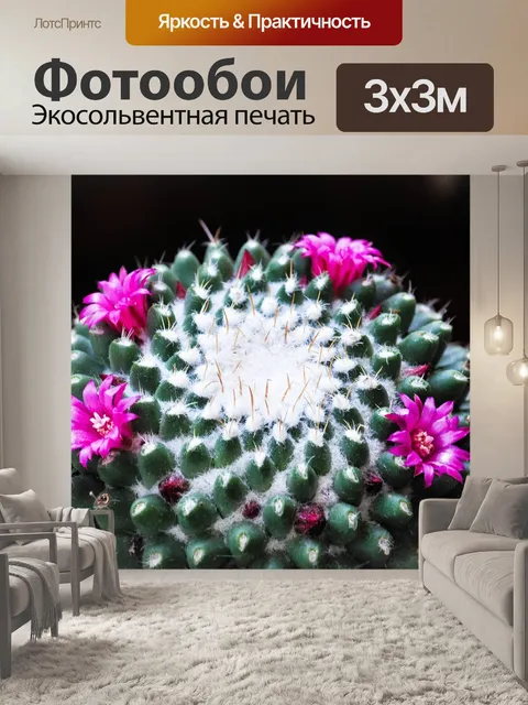 Фотообои Цветы