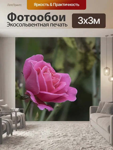 Фотообои Осень