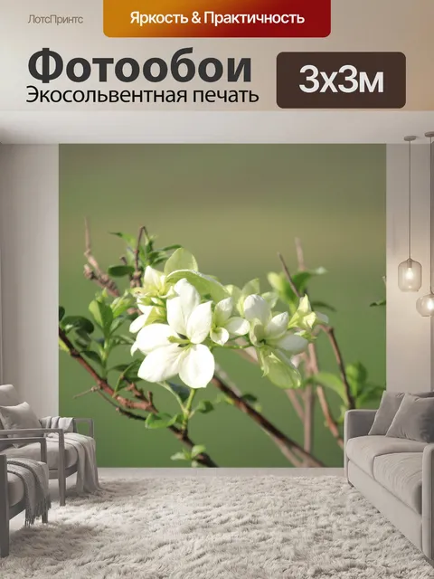Фотообои Белые цветы