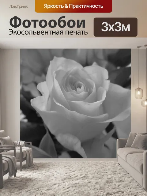 Фотообои Роза