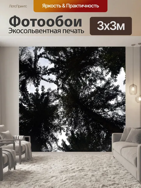 Фотообои Природа