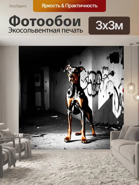 Фотообои доберман, настороженно стоящий на фоне заброшенного здания с граффити