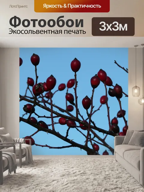 Фотообои Шиповник