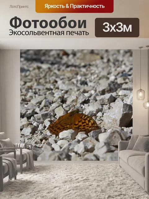Фотообои Бабочка