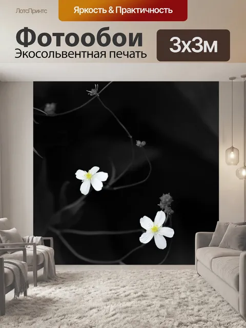Фотообои Цветок