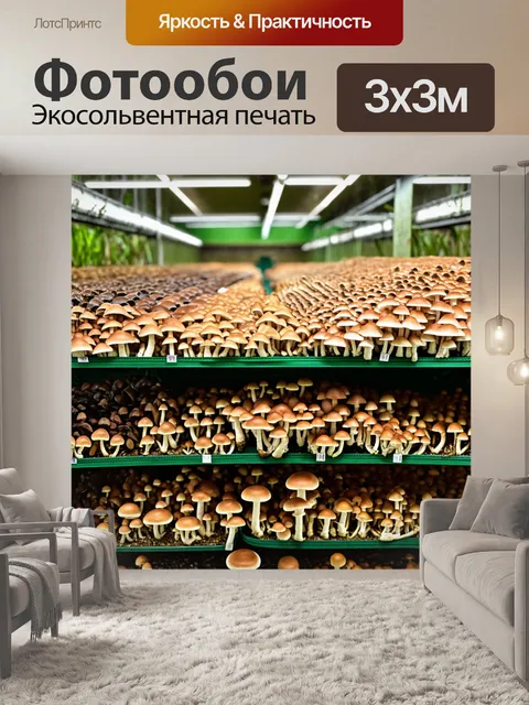 Фотообои грибы заготовки: грибная ферма с различными сортами грибов, растущими на полках, влажный воздух и зелень
