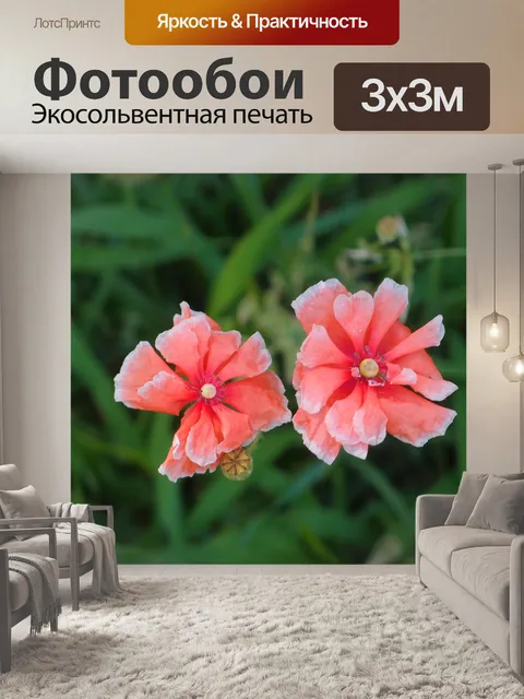 Фотообои Цветы