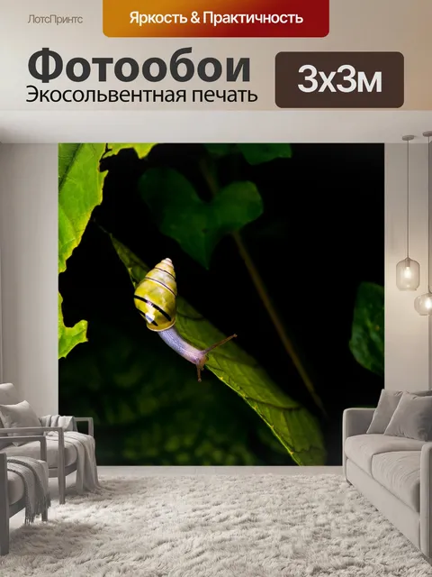 Фотообои Животное