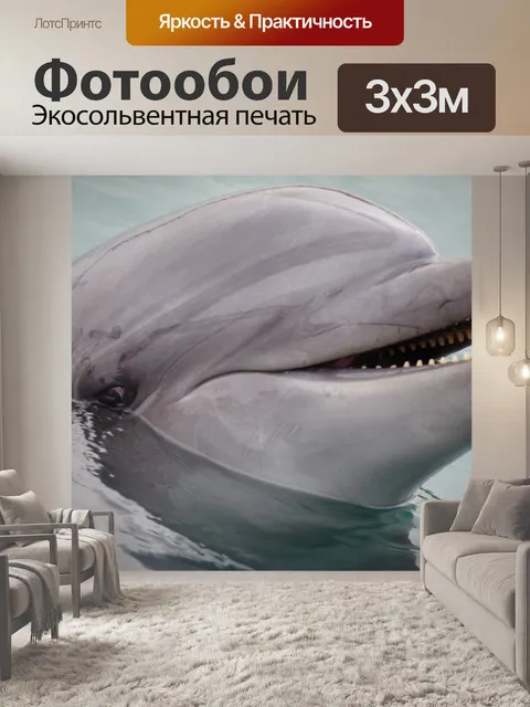 Фотообои Дельфин