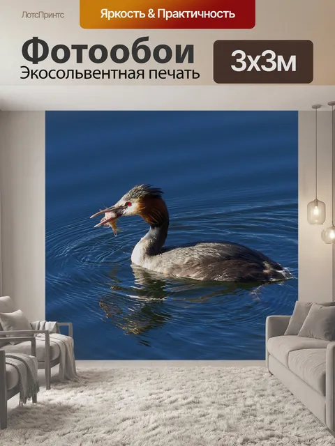 Фотообои Рыбы