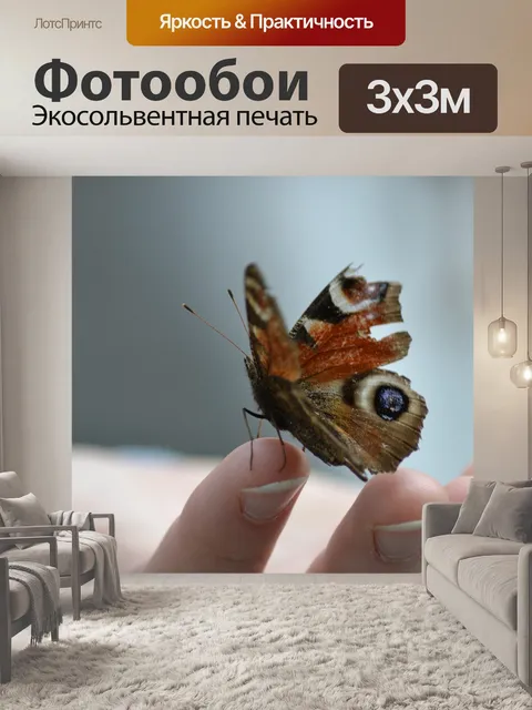 Фотообои Бабочка