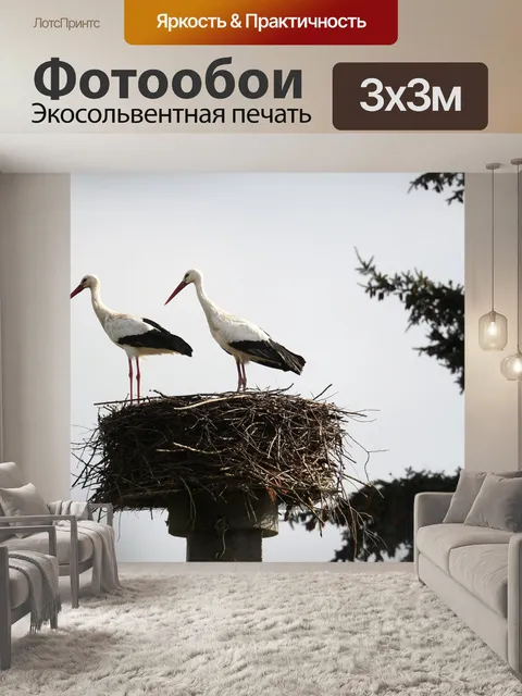 Фотообои Аисты