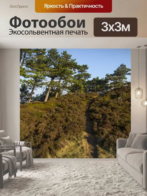 Фотообои Илкли Yorkshire причаливает Англия Велик