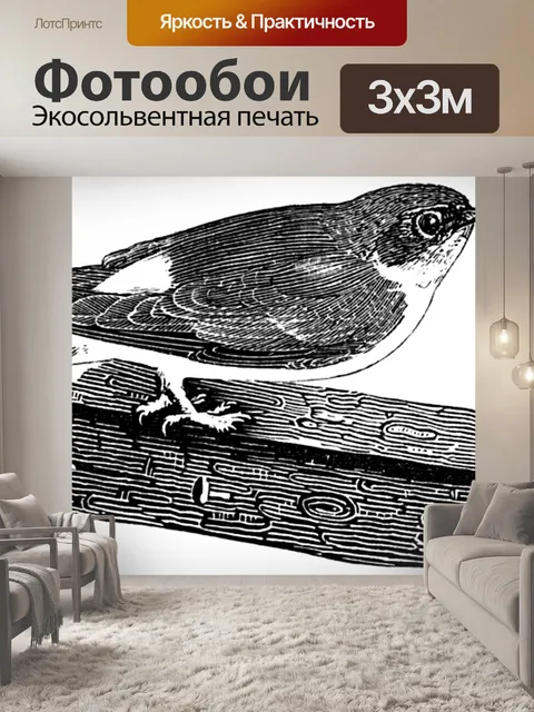 Фотообои Дом Мартин
