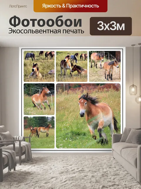 Фотообои Коллаж